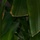 20797_w_ridge_rd_007