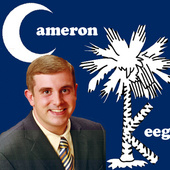 New_palmetto_logo_hd_