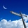 Resized_success_photo