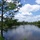Georgialandauctiongeorgiarealestate2