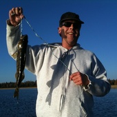 Walleye_2010