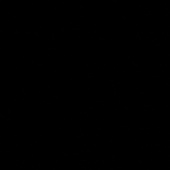 003