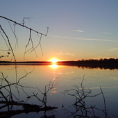 Dsc00752