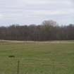 Pict0004