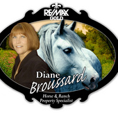 Remax%20diane%20hall%20horse%20logover2white
