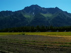 Farming in the Matanuska Valley...Pioneer Peak in the background