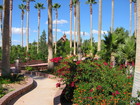St. Anthony's Greek Orthodox Monastery, Florence, AZ
