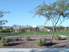 Lost Creek Park, Verrado, Arizona