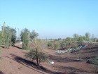 Walkikng Trail near Thomas Road in Verrado, Arizona
