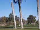 Estrella Mountain Park - Goodyear