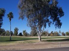 Estrella Mountain Park - Goodyear