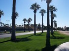 Litchfield Park