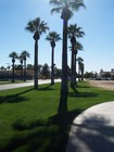 Litchfield Park