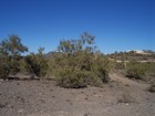 Rolling hills and variety of homes in New River