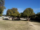 Arcadia Neighborhood