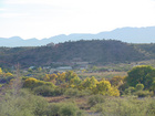 Fall in the Verde Valley - the Oak Creek Greenbelt in Cornville, Az