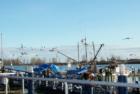 Steveston, Richmond, BC