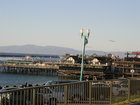 Redondo Beach Pier from Veteran's Park