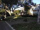 Avenue Monte de Oro in Hollywood Riviera