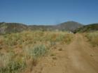 The fireroad that cuts across the top of one of the many hilltops that forms Bautista Creek, East Hemet CA