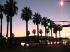 The sun slowly sets over a row of palm trees located Downtown, Hemet CA
