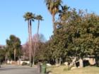 Looking north along Dumont Road, one of the most prestigious neighborhoods anywhere in Riversdie Count and all of Hemet CA