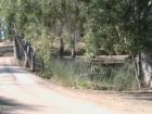 Quite dirt roa that travels around Little Lake, in Hemet CA, to the best fishing spots.  Argued by many that this is the best piece of real estate to relax on in all of Riverside County.