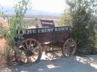 Antique Farm Wagon from the Olive Crest Ranch, found on the road climbing the hill to the top of Spraig Heights in East Hemet, CA