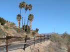 The road climbing to the top of the plateau known as Spraig Heights with split rail fence for a guardrail and beautiful Palm trees in Hemet CA