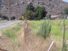 California Avenue before the recent improvements, West Hemet, CA