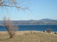 Beals Pt. in Folsom. This time of year in the Winter, the Lake is down.