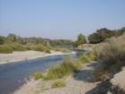 This photo is of the American River and was taken by the community of Gold River. The American River is 23 miles long with rafting, horse back riding riding, biking and walking. Not to missed and is a charm around the Sacramento area.