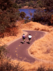 American River Bike Trail
