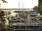 Morning in a yacht harbor in San Diego, California