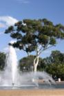 Fountain in Balboa Park, San Diego- used with permission- © Copywright Charles Lasnier 2004