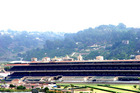 Ar116839032552329_l