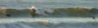 used with permission- © Copywright Charles Lasnier 2004 