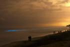 The "red tide"  used with permission- © Copywright Charles Lasnier 2005
