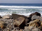 Close-up of Cardiff State Beach