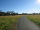 The Path, facing East.