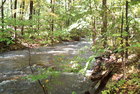 Shortwoods Brook in New Fairfield - a feeder brook into Candlewood Lake
