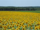 Buttonwood Farms in Griswold, CT