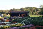 Alice's Acres Farm Market - Gales Ferry
