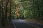 Route 214 in Ledyard