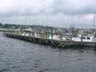 Boats Docked