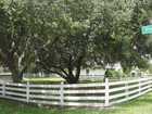 What a lovely view of Lake Lizzie
      Ask me about Ed Harris Ct. in beautiful St, Cloud Florida located in Osceola County.