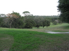 Looking down the fairway from the 5th hole tee box at the Mount Dora Golf Club. Photo courtesy of 2AverageJoes.com and Knightlines Mortgage Services, LLC. Photo taken by Jason Price