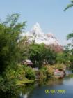 Animal Kingdom at Disneyworld