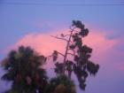 Port Charlotte Florida
