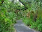 Franz Ross Park in Port Charlotte